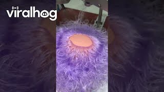 Doll Heads Have Hair Sewn On Automatically || ViralHog