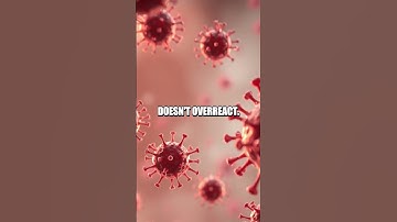 The Quiet Messengers: How Extracellular Vesicles Orchestrate Healing