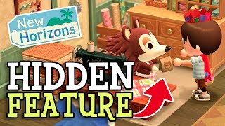 Animal Crossing New Horizons: A HIDDEN FEATURE (How To Unlock Sable's Patterns at the Able Sisters)