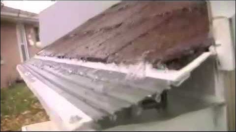 EvelynsLeafSolutionGutterGuard