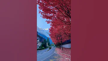 پاییزی خزان زیبایی رنگارنگ دلنواز ذوق رویایی رمانتیک عشاق عشق 