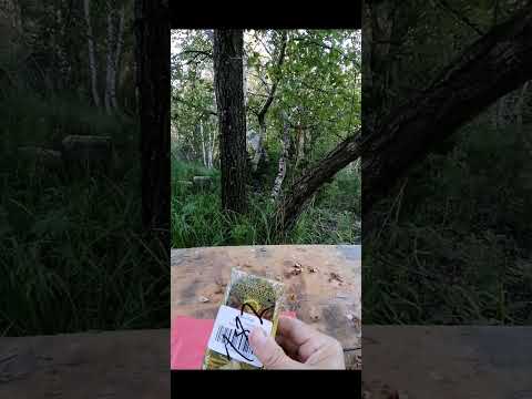 ผลสลากกินแบ่งรัฐบาล วันที่ 1 พย. 2567