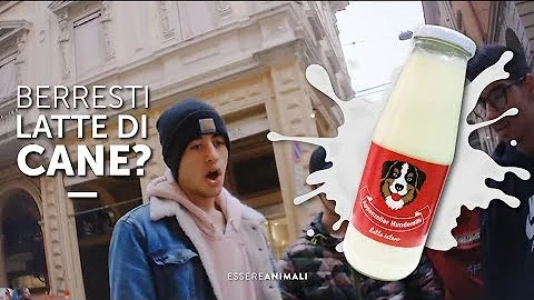 Cosa fa il latte al cane?
