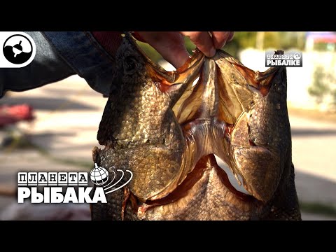 Узбекистан глазами рыболова | Планета рыбака