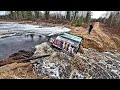Insane Beaver Wash Out Sherp Action