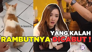 KUMPULAN VIDEO TIKTOK VIRAL - MeiReaction