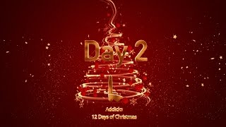 DAY 2 | Addicks 12 Days of Christmas