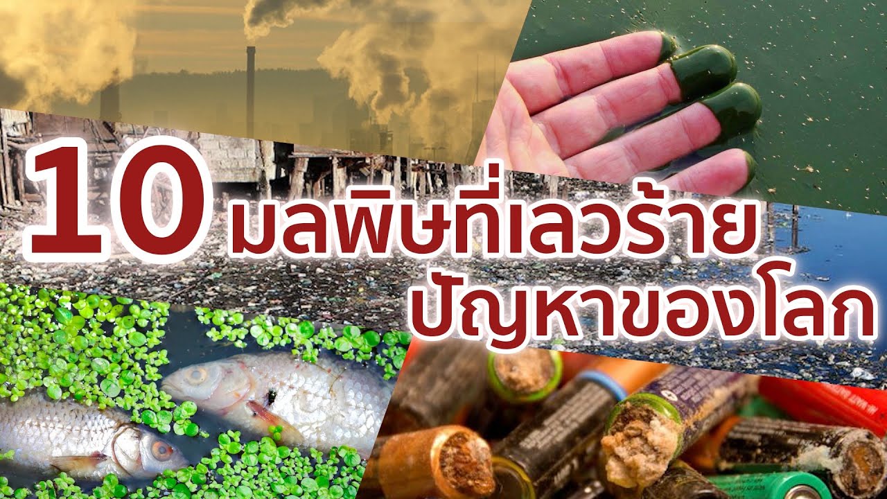ความหมายของสภาพแวดล้อม 2022 10 รูปแบบมลพิษที่เลวร้ายและกำลังเป็นปัญหาของโลก