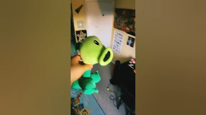 My goofy ahh brother