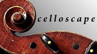 Dotzauer - 113 etudes for cello N. 13 Aurelio Bertucci