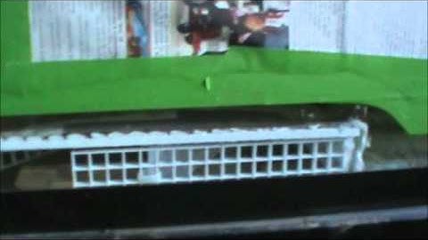 40 gal. long dart frog viv. 4.