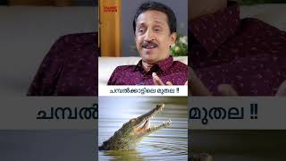 ചമപൽകകടടല മതല