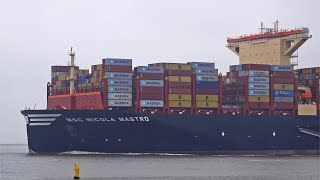 GIANT MSC NICOLA MASTRO ON RIVER WESTERSCHELDE - 4K SHIPSPOTTING WALSOORDEN NETHERLANDS 12/2023 by Airliners & Ships Channel 16,978 views 4 months ago 22 minutes