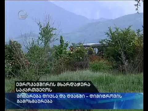 ფილიპ დიმიტროვი: ჩვენ მხარს ვუჭერთ საქრთველოს ტერიტორიულ მთლიანობას და სუვერენიტეტს