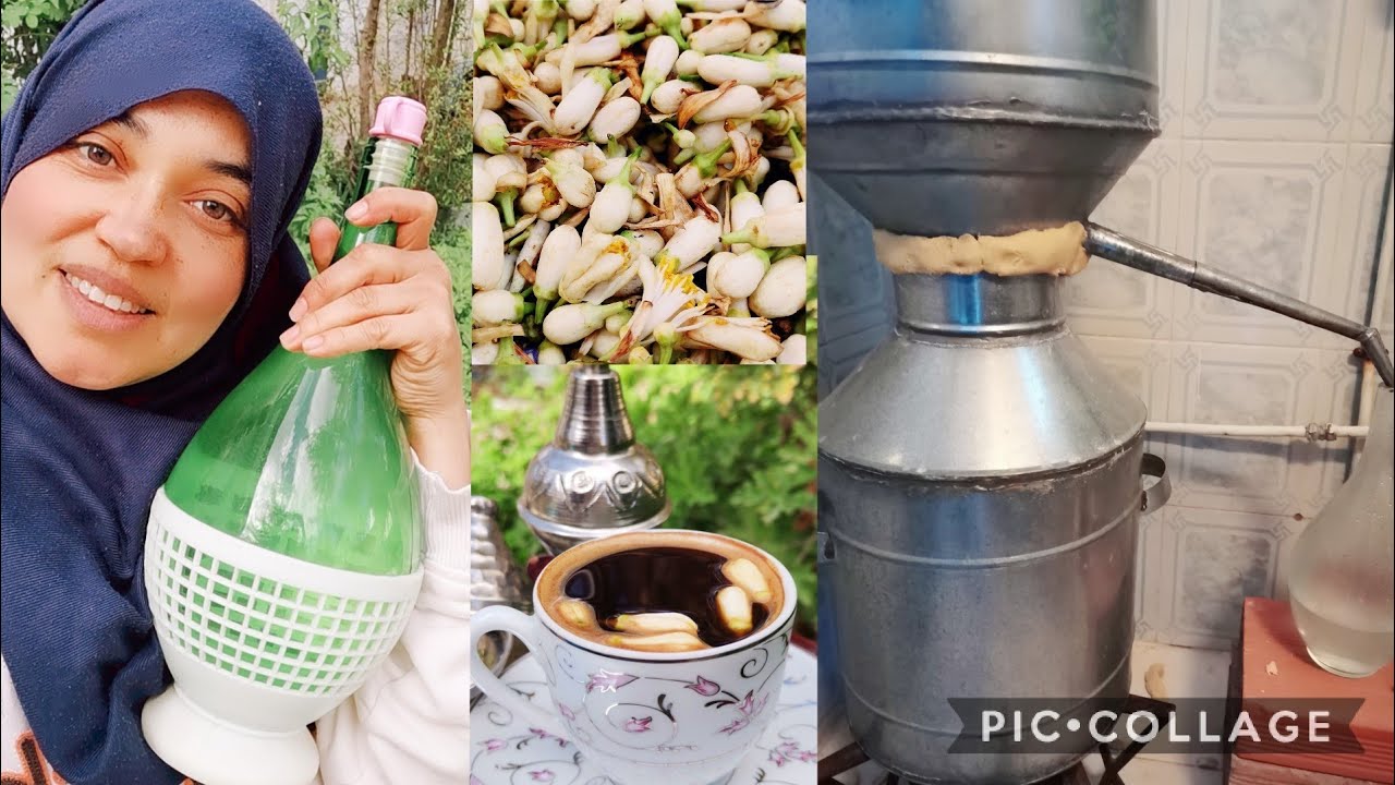 مراحل تقطير الزهر في المنزل مع نصائح مهمة فكرة مشروع  مربح  للمبتدئين #تقطير_الزهر