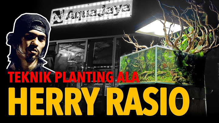 RAHASIA JUARA HERRY RASIO - Planting Riparium Ceper