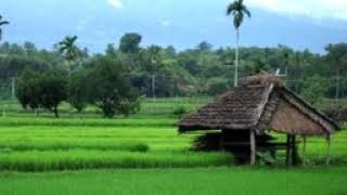 Kecapi Suling Sunda