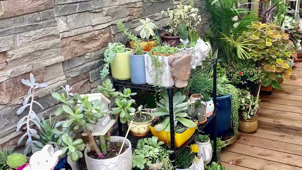 Duplex for Sale in San Jose, CA