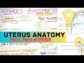 Uterus anatomy 1  parts of uterus  abdomen  suyash shukla