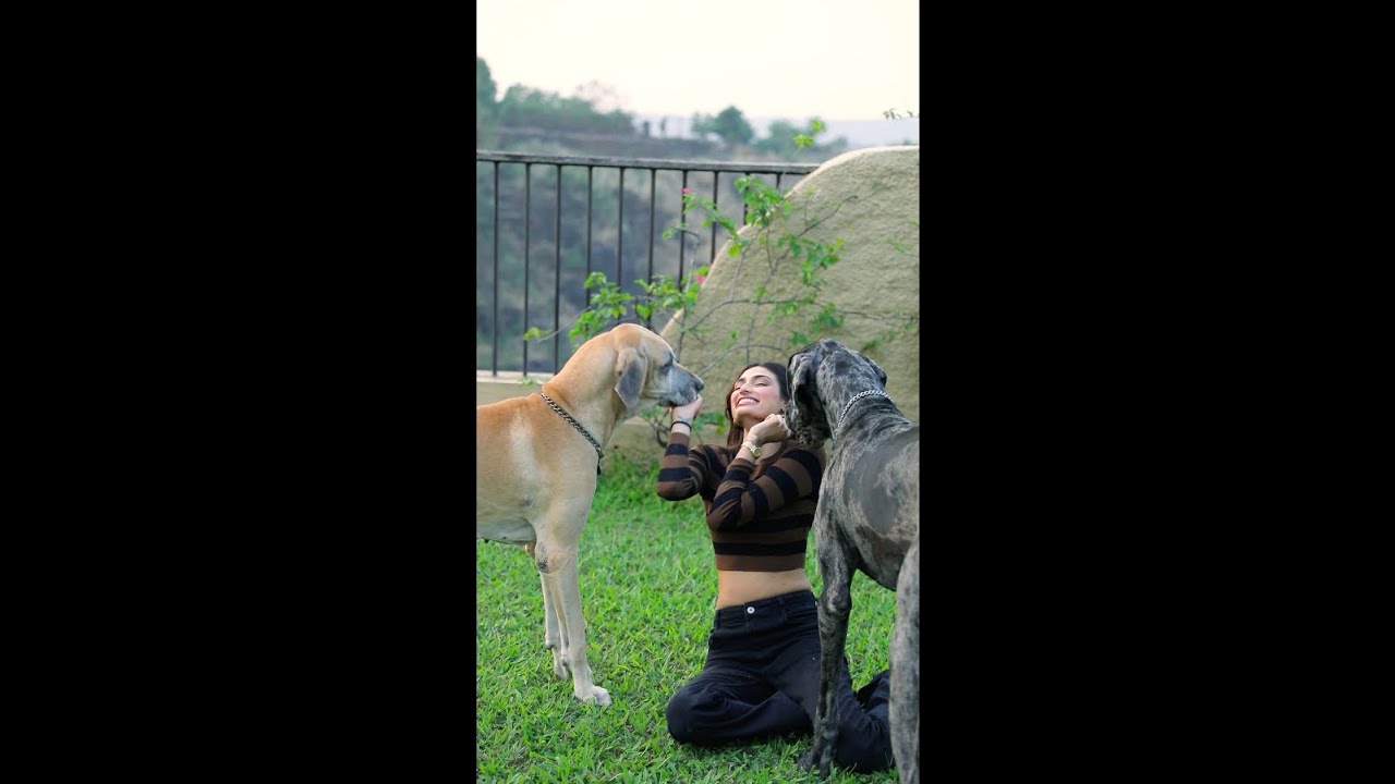 Catching sunsets & snuggles!🐶❤️ 
