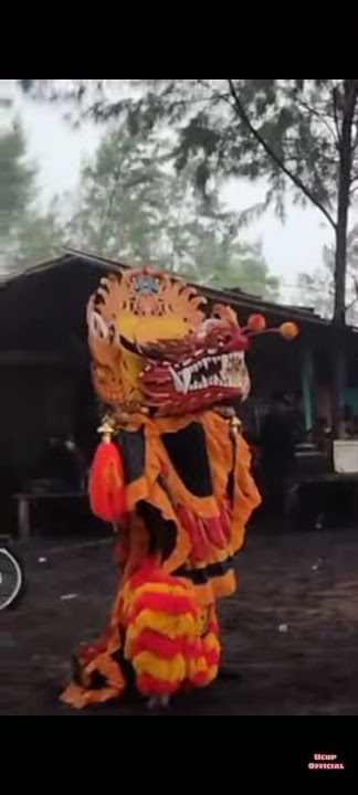 Barongan salto ni