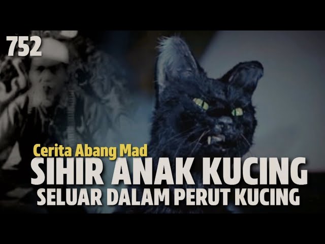 SIHIR: ANAK KUCING HITAM class=