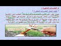 العلوم (إثرائي) - صف 3 - العدسات المكبرة
