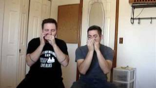 2 Harmonica Boogie: Ronnie Shellist & Gerry Hundt