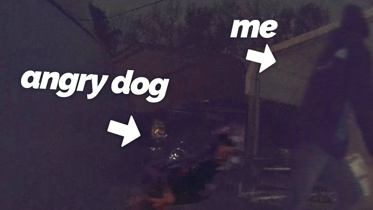 The reality of driving for Amazon delivery