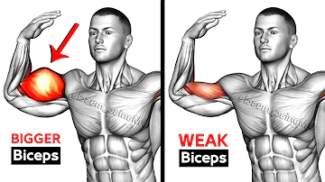 7 BEST Exercises for BIGGER BICEPS