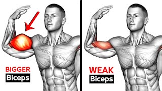 7 BEST Exercises for BIGGER BICEPS