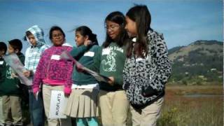 In the beac program (bird education and awareness communities)
educators from prbo conservation science work with 4th 5th grade
classrooms at bahia vi...