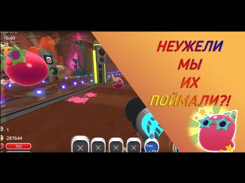 Видео: Slime Rancher. МЫ ПОЙМАЛИ ВЕЧЕРИНКА СЛАЙМОВ?!?!