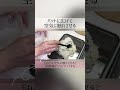 【新玉ねぎ】痩せる常備菜!酢玉ねぎ/作り置き◎ #shorts