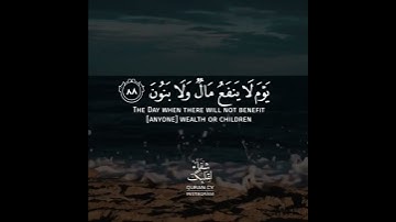 قرآن كريم بصوت سعيد الخطيب تلاوة هادئ ارح قلبك 💚🌿حالة واتس اسلامية /ستوريات انستغرام