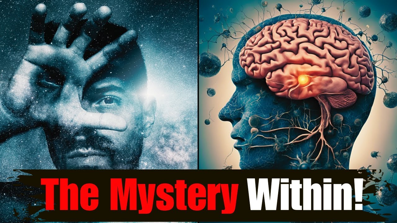 The Mystery of Human Consciousness || - YouTube