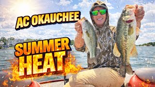 SUMMER HEAT AND SIGHT FISH- AC Okauchee (2025)