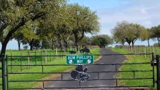 BUM PHILLIPS