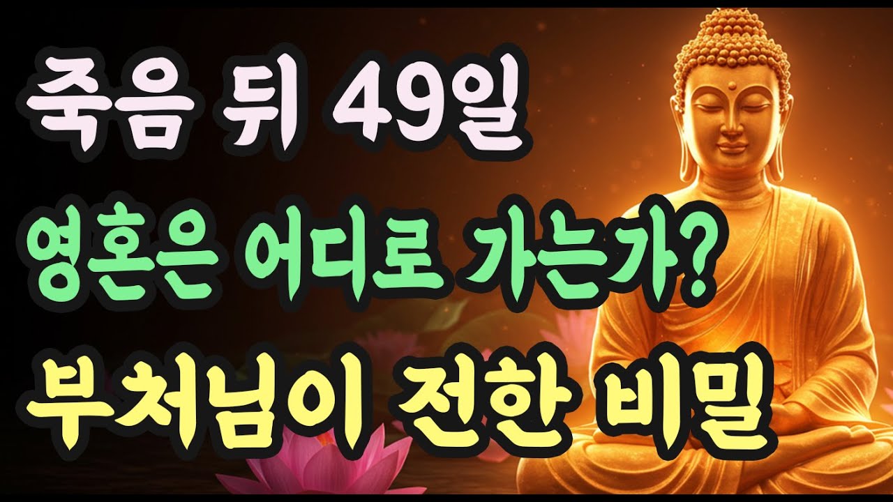 죽음 이후 49일, 영혼은 어디로 가는가? #부처님말씀 #불교지혜 #죽음과윤회 #마음공부
