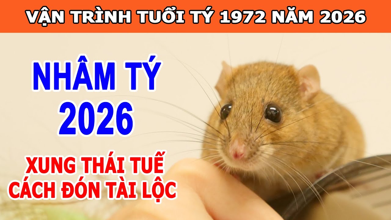 Vận Trình Tử Vi Chi Tiết Tuổi Nhâm Tý 1972 Năm 2026 | Vận Quý Nhân Khai Mở Kích Hoạt Tài Lộc | Tử Vi