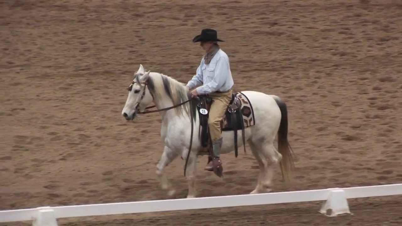 Keith Jacobson and Bosley  Working Equitation Expo 2017