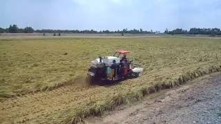 YANMAR | Harvest in Vietnam