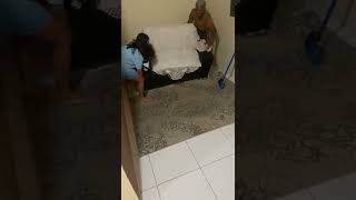 People move furniture and a rat runs out from under it!