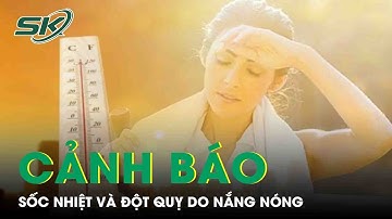 Chuyên Gia Khuyến Cáo Gì Để Phòng Nguy Cơ Đột Quỵ, Sốc Nhiệt Trong Đợt Cao Điểm Nắng Nóng? | SKĐS