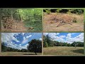 Camera stabilization all lenses: ultimate test, Samsung Galaxy Z Fold 7, 4K60 10-bit HDR, high BR
