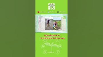 Nông dân Nghệ An 