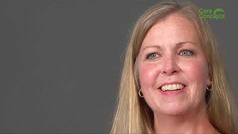 Bridges Core Concepts - E-Mentoring