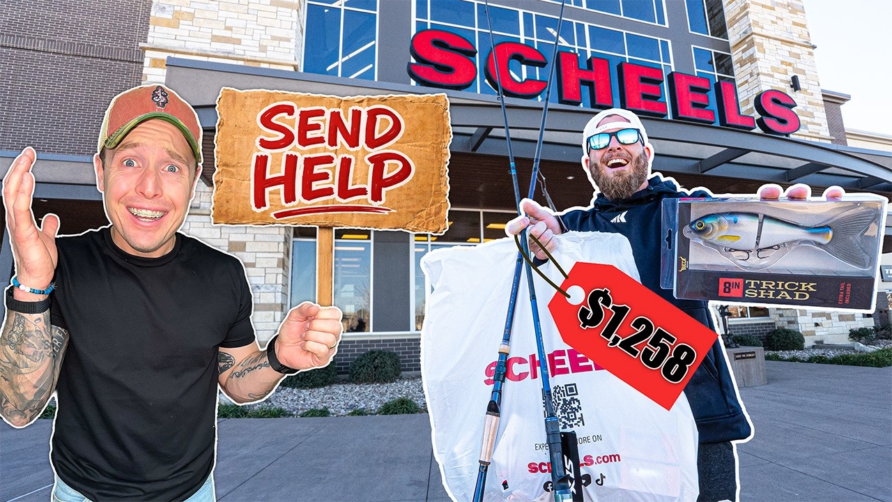 Latest Title & Thumbnail