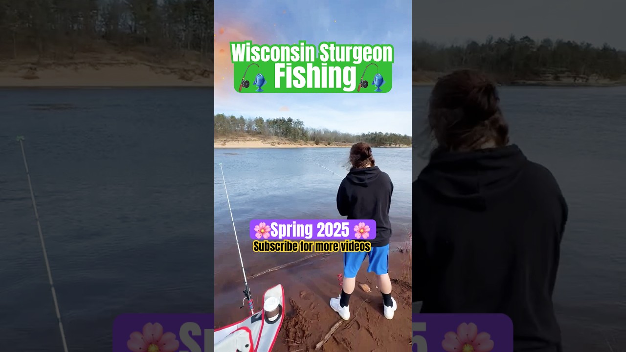 Sturgeon Fishing in Wisconsin River Spring Catch March 2025 🎣🐟