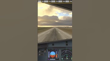 #kisslanding the #fenix #a320 at #eddm #munich in #msfs2024